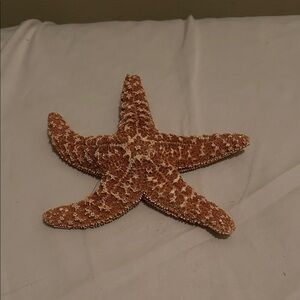Starfish